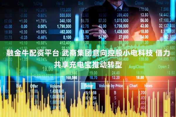 融金牛配资平台 武商集团意向控股小电科技 借力共享充电宝推动转型